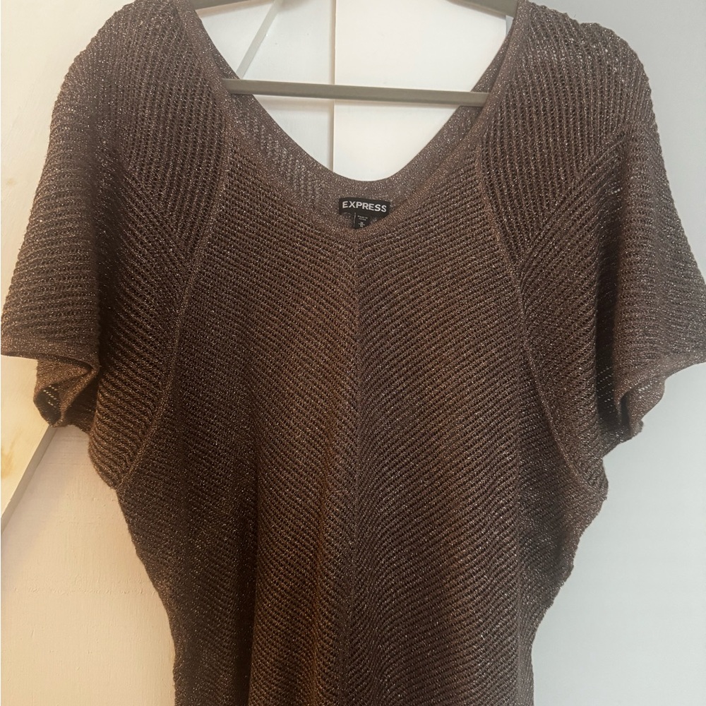 Express Metallic Brown Sweater